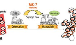 Vai trò của MK7 đối với sự phát triển chiều cao của trẻ