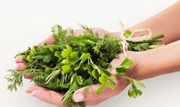 4 tuyệt chiêu giúp bạn giảm ngứa do bệnh chàm