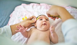 Phòng tránh mối nguy hiểm từ muỗi và virus Zika