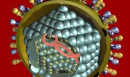 Phương pháp điều trị bệnh viêm gan A