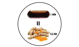 Dùng bột nghệ hay nghệ Nano Micelles?