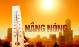 Đối tượng dễ mắc sỏi đường tiết niệu?
