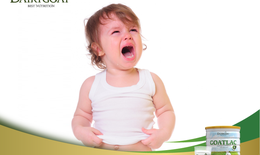 Dinh dưỡng cho trẻ dị ứng đạm sữa bò