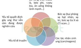 Ung thư - có thể phòng ngừa?