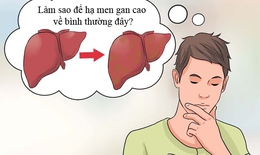 Thoát khỏi men gan cao