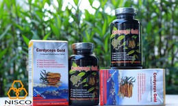 Đông trùng hạ thảo – liệu pháp an toàn hỗ trợ đẩy lùi ung thư