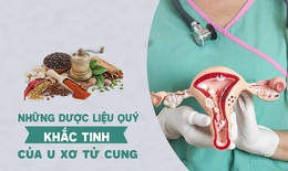 Những dược liệu quý - “khắc tinh” của u xơ tử cung