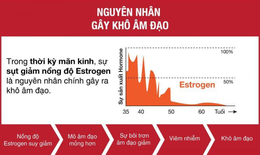 Viên uống bổ sung Estrogen tự nhiên phù hợp hiện nay