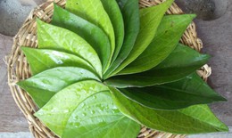 Tò mò cuộc chiến trị nám gian nan của bà mẹ “mặt nhọ nồi”