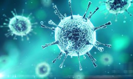 5 bệnh hô hấp phổ biến gây nên do virus