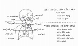 Tăng đề kháng cho trẻ khi giao mùa bằng nấm men