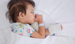 Cách chăm trẻ sốt xuất huyết hạn chế tối đa nguy cơ biến chứng