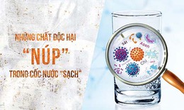 Nước trong chưa hẳn đã sạch