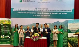 Bệnh đái tháo đường ngày càng gia tăng, cách giảm đường huyết vượt trội