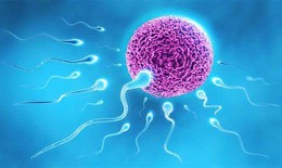 Nam giới tinh trùng yếu có thụ thai và có con tự nhiên được không?
