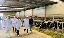 “Resort" bò sữa Tây Ninh là hạt nhân để xây dựng vùng chăn nuôi bò sữa an toàn dịch bệnh