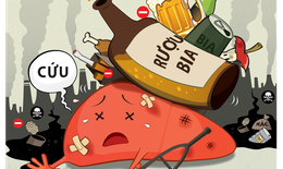 Hãy lắng nghe lá gan của bạn
