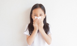 Giúp kiểm soát đúng và hiệu quả bệnh Viêm mũi dị ứng ở trẻ em ở giai đoạn đầu
