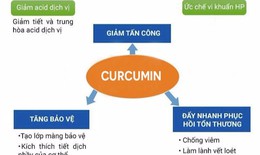 Tại sao người bệnh dạ d&#224;y n&#234;n sử dụng curcumin để tăng cường miễn dịch