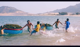 Rong sụn và sâm Fansipan: thức uống “biển”- “rừng” hội tụ