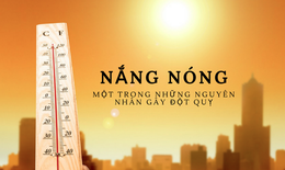 Nguy cơ tai biến, đột quỵ vào mùa hè và cách phòng tránh