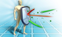 Tăng sức đề kháng, chống ốm vặt, bảo vệ cơ thể trước mùa dịch