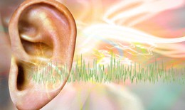Giải pháp cải thiện điếc tai an toàn, hiệu quả từ thảo dược thiên nhiên