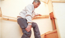 Thế nào là chế độ dinh dưỡng phù hợp cho cơ thể tuổi 50+