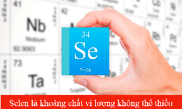 Selenium yếu tố quan trọng cho hệ miễn dịch khỏe mạnh