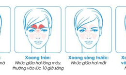 Học cách bảo vệ mũi cho bé cưng và cả nhà