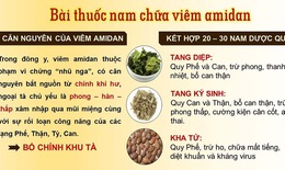 Chữa viêm amidan bằng bài thuốc thảo dược tại Trung tâm Đông y Việt Nam