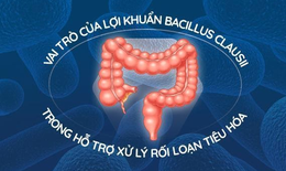 Vai tr&#242; của lợi khuẩn Bacillus clausii trong ổn định rối loạn ti&#234;u h&#243;a