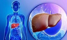 Vai trò của chức năng gan trong cơ thể con người