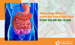 Thuốc thảo dược trị vi&#234;m đại tr&#224;ng, ngăn ngừa t&#225;i ph&#225;t hiệu quả