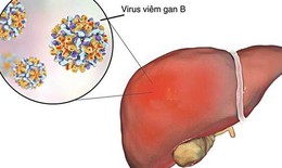 Giải pháp hỗ trợ kiểm soát virus hiệu quả cho người viêm gan B