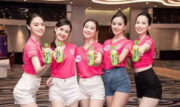 Trà thảo dược Boganic và sự lựa chọn của cuộc thi HHVN 2020