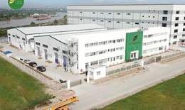Ứng dụng Đông trùng hạ thảo và sản phẩm bảo vệ sức khỏe