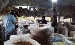 Phòng chẩn trị YHCT chữa bệnh bằng thuốc Nam uy tín