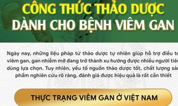 Công thức thảo dược dành cho bệnh viêm gan