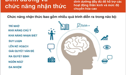 Dinh dưỡng và chức năng nhận thức