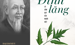 Tại sao Đại danh y Hải thượng Lãn Ông ví đinh lăng là Sâm của người Việt?