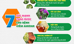 [Infographic]: C&#244;ng thức 7 thảo dược thi&#234;n nhi&#234;n hiệu nghiệm cải thiện v&#224; ổn định Amidan cho trẻ