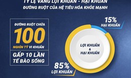 Công nghệ Bào tử lợi khuẩn Dr. ANH hỗ trợ giảm triệu chứng viêm đại tràng hiệu quả