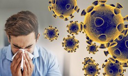 Tăng cường sức đề kháng, hỗ trợ phòng bệnh trong mùa dịch