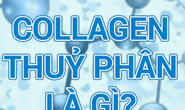Collagen Peptide - Collagen thủy ph&#226;n hiểu sao cho đ&#250;ng?