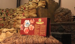 Bài thuốc cho người thoát vị đĩa đệm