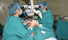Bệnh viện K: Lần đầu tiên tạo hình thành công 1/2 lưỡi và sàn miệng bằng vạt đùi trước ngoài vi phẫu