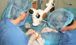 2 bệnh nhân được ghép giác mạc của bé Hải An
