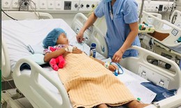 Tự làm thịt cóc để ăn, chị mất mạng, em bị ngộ độc nặng