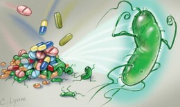 Báo động tình trạng kháng kháng sinh và các biện pháp ngăn chặn